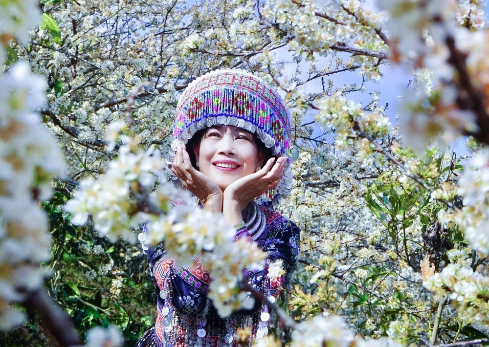 Lào Cai: Hoa mận trắng tinh khôi hút khách ở vùng cao Púng Luông - Ảnh 2.