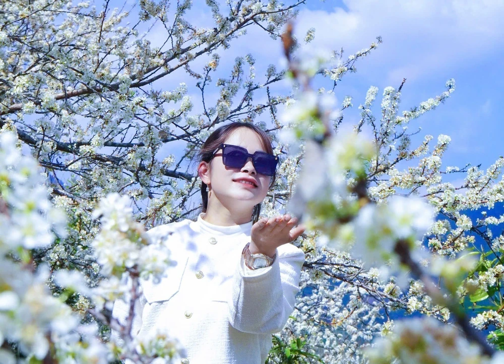 Lào Cai: Hoa mận trắng tinh khôi hút khách ở vùng cao Púng Luông - Ảnh 4.