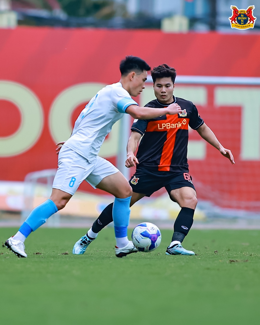 CLB CAHN và Ninh Bình 'chia nhau' giải thưởng V-League tháng 11 - Ảnh 1.