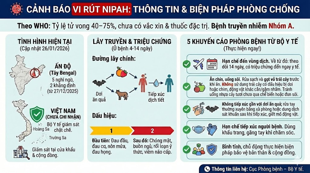 Vi rút Nipah: Hiểm họa tiềm ẩn với tỷ lệ tử vong 75% và khuyến cáo khẩn từ Bộ Y tế - Ảnh 1.