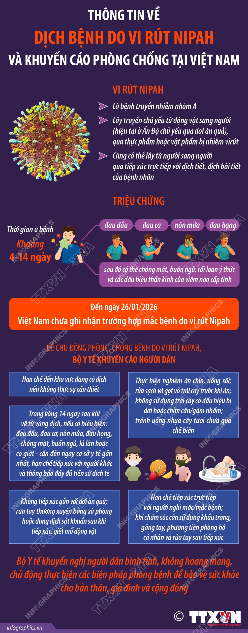 Thông tin về dịch bệnh do vi rút Nipah và khuyến cáo phòng chống tại Việt Nam - Ảnh 1. Thông tin về dịch bệnh do vi rút Nipah và khuyến cáo phòng chống tại Việt Nam - Ảnh 1.