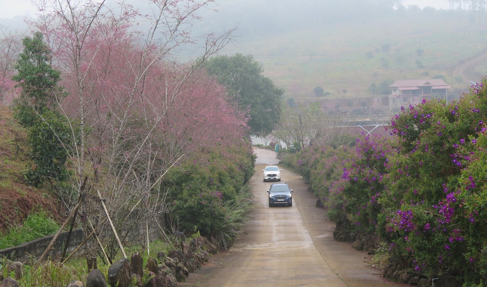 Vì một miền quê đáng sống: Măng Đen giữa đại ngàn Tây Nguyên níu chân lữ khách - Ảnh 1. Vì một miền quê đáng sống: Măng Đen giữa đại ngàn Tây Nguyên níu chân lữ khách - Ảnh 1.
