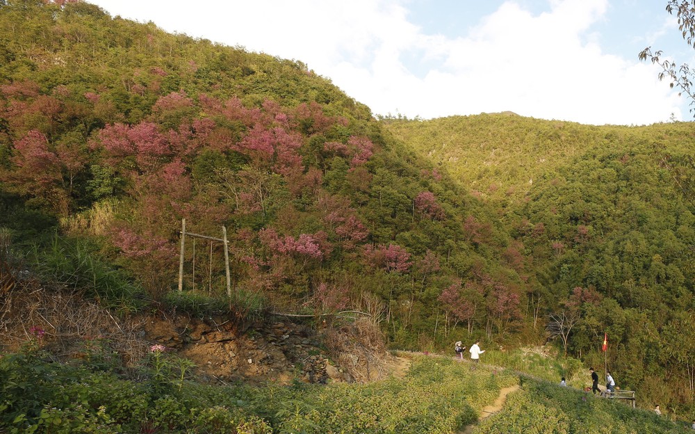 Đưa Mù Cang Chải trở thành điểm đến du lịch tiêu biểu Tây Bắc - Ảnh 10.