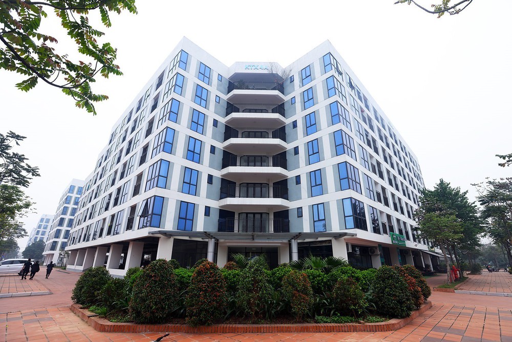 Động lực chính sách và nhu cầu thực đưa nhà ở xã hội về đích sớm - Ảnh 1.