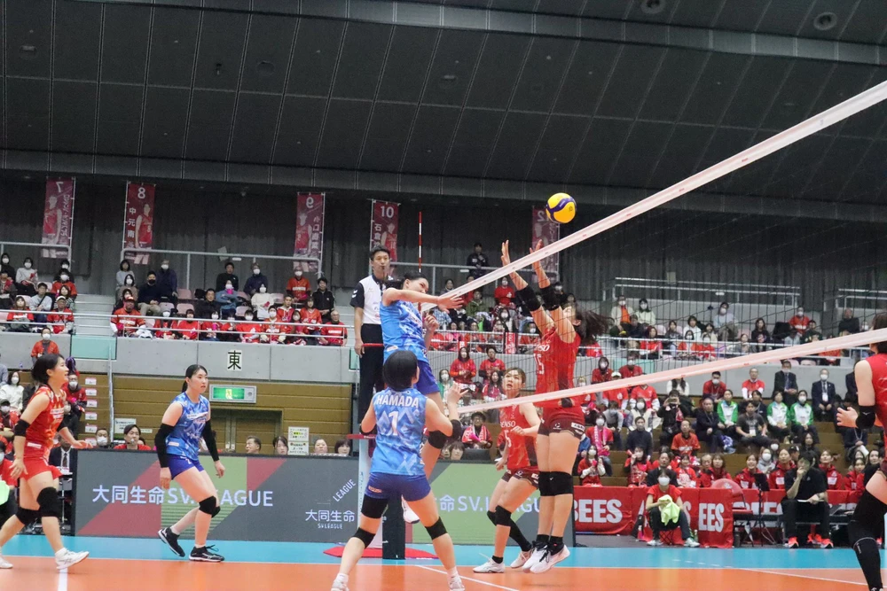 Phụ công số 1 bóng chuyền nữ Việt Nam tạo ‘địa chấn’ ở giải Nhật Bản, vượt trội hàng loạt sao bản địa - Ảnh 2.