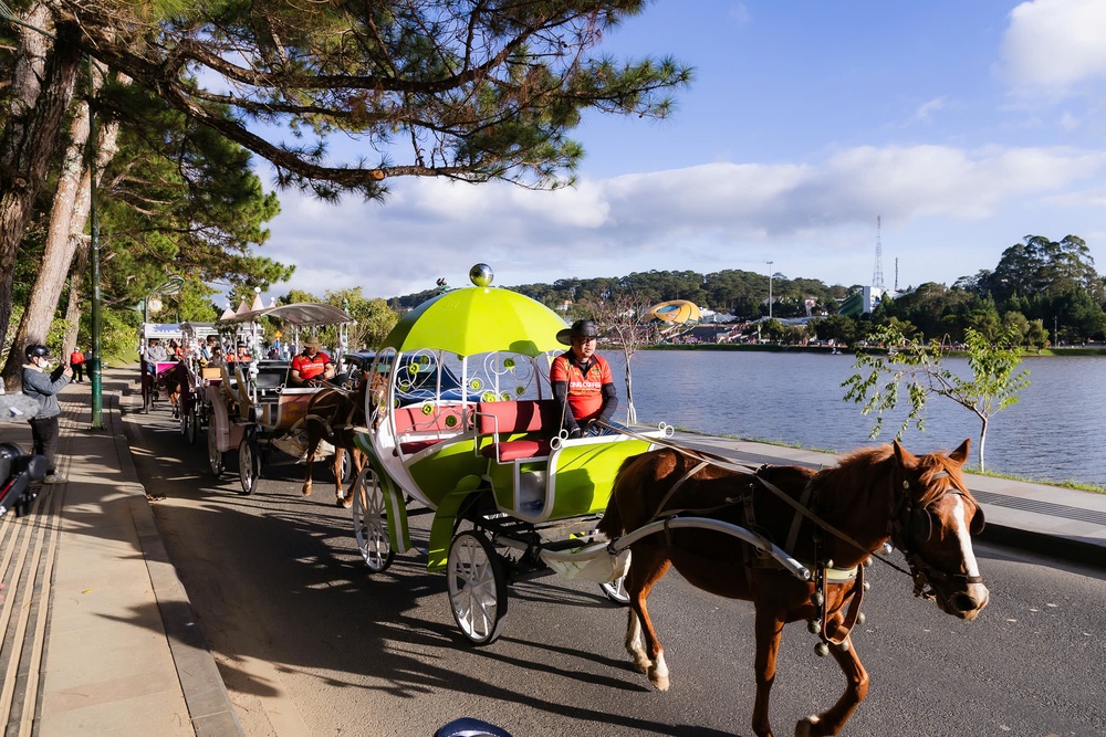 Đà Lạt, cà phê và những bản giao hưởng của ký ức - Ảnh 2. Đà Lạt, cà phê và những bản giao hưởng của ký ức - Ảnh 2.