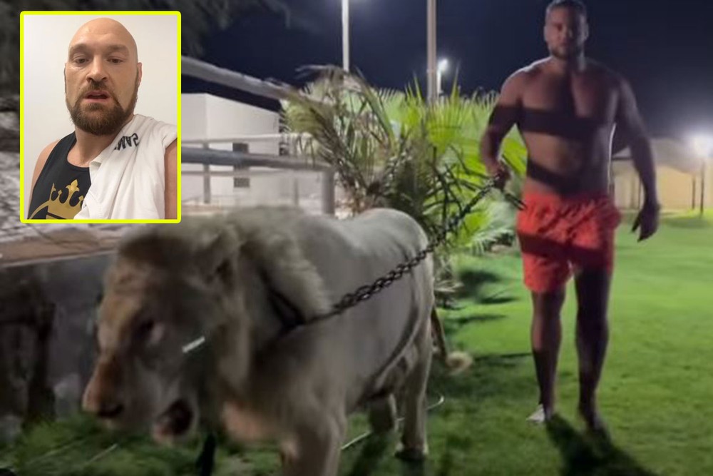 Cựu vô địch thế giới dắt sư tử đi dạo, gửi lời thách đấu tới võ sĩ "vua giang hồ'' - Ảnh 1.