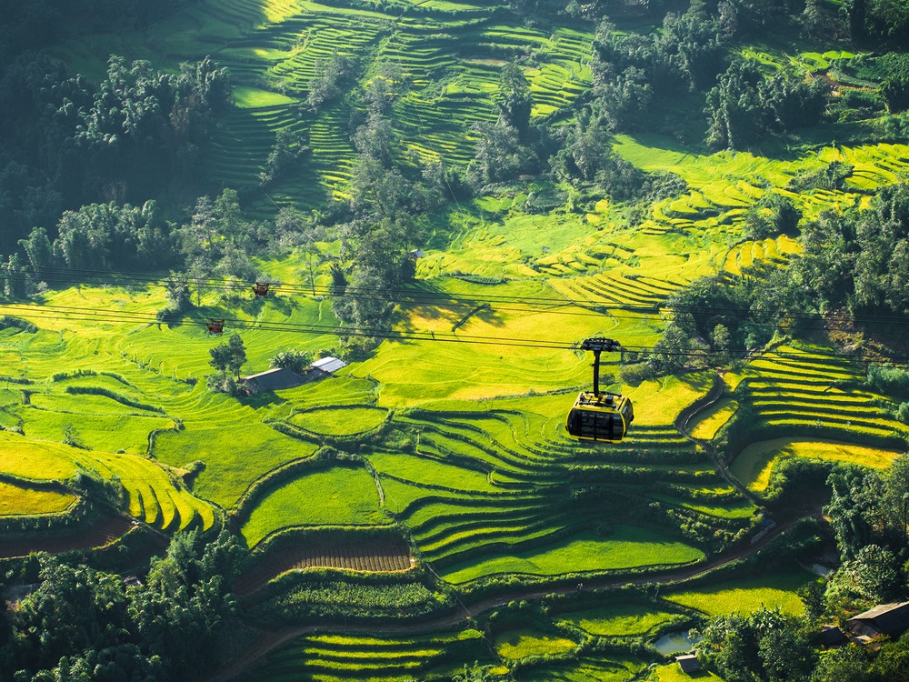 Sa Pa được chọn là điểm đến lý tưởng cho người tuổi Sửu năm 2026 - Ảnh 2. Sa Pa được chọn là điểm đến lý tưởng cho người tuổi Sửu năm 2026 - Ảnh 2.