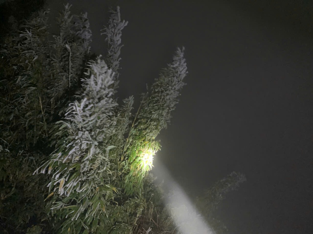  Băng tuyết trên đỉnh Fansipan (Sa Pa) - Ảnh 5.