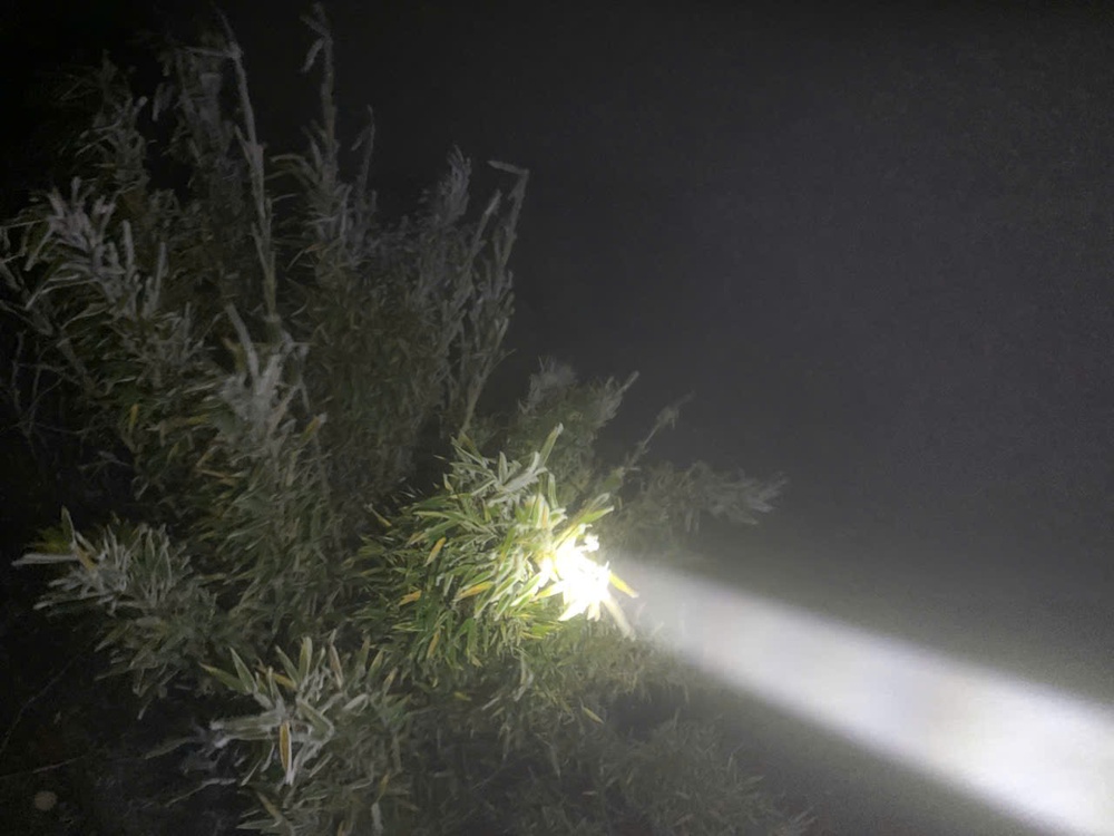  Băng tuyết trên đỉnh Fansipan (Sa Pa) - Ảnh 6.