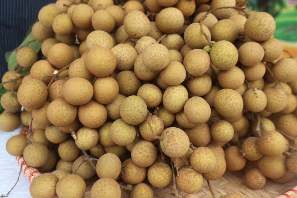 Công bố 5 di sản văn hóa phi vật thể quốc gia - Ảnh 1.