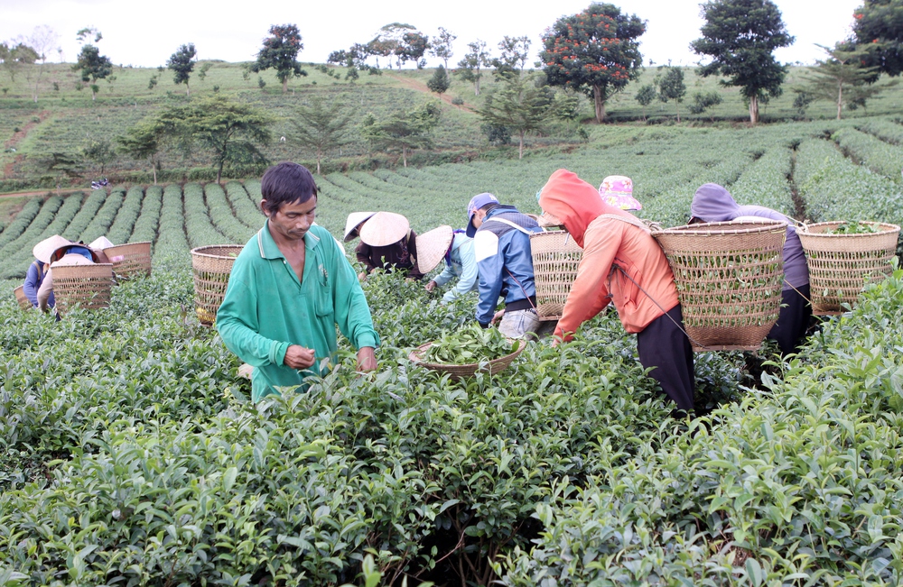 Tổng điều tra kinh tế 2026: Thống kê độc lập, thông tin của người dân được bảo mật - Ảnh 3.