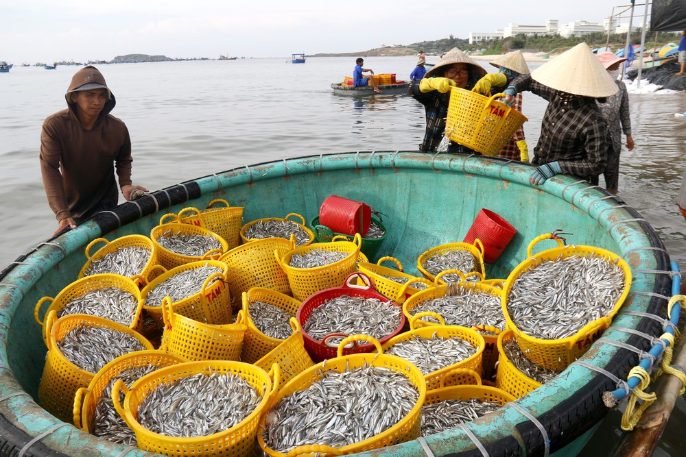 Tổng điều tra kinh tế 2026: Thống kê độc lập, thông tin của người dân được bảo mật - Ảnh 2.