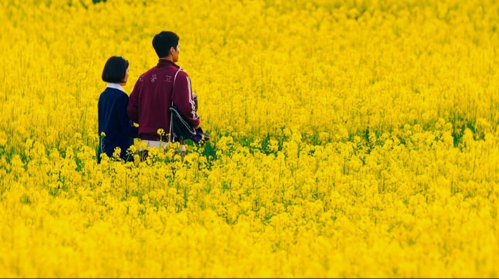 10 năm đồng hành cùng Hàn Quốc, Netflix đưa nội dung Hàn vươn tầm thế giới - Ảnh 5.