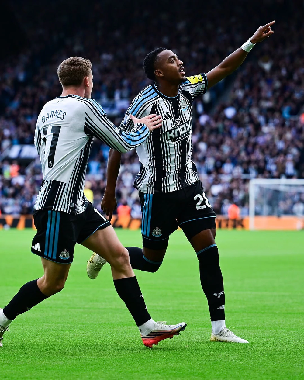 Nhận định Coventry vs Newcastle 02h00 ngày 13/10, vòng 6 Ngoại hạng Anh 2026-27 - Ảnh 1.