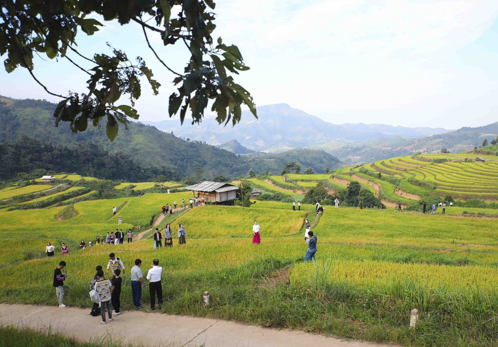 Khám phá vùng cao Pu Nhi qua sắc vàng ruộng bậc thang và sắc màu văn hóa Mông - Ảnh 6.