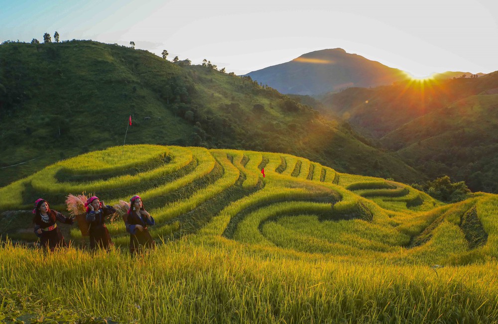 Khám phá vùng cao Pu Nhi qua sắc vàng ruộng bậc thang và sắc màu văn hóa Mông - Ảnh 1.