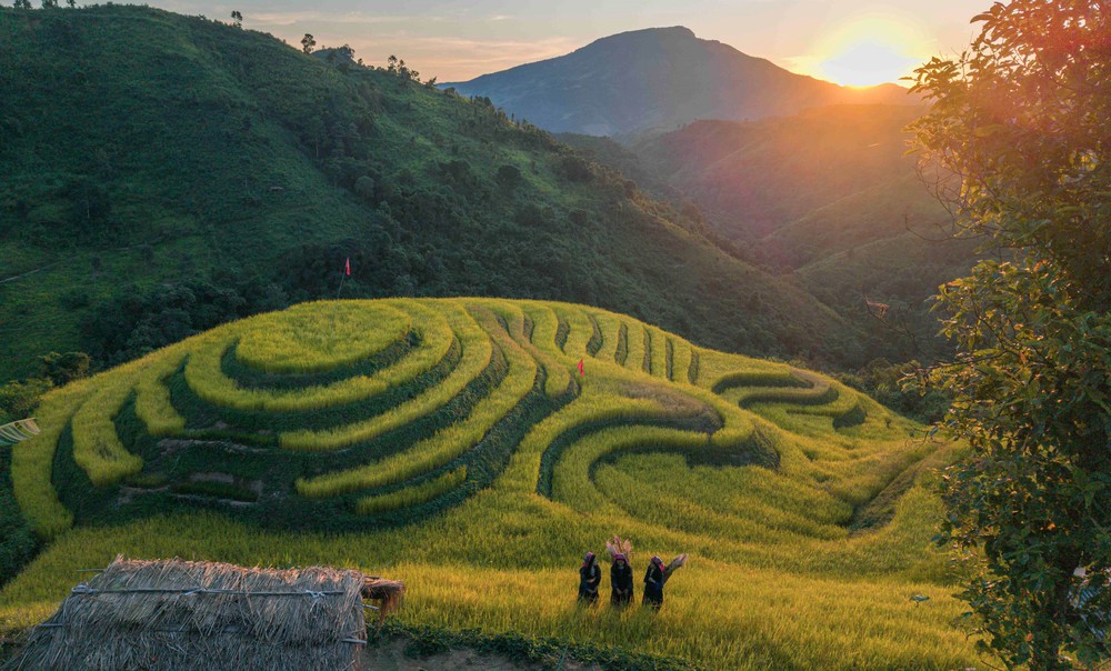 Khám phá vùng cao Pu Nhi qua sắc vàng ruộng bậc thang và sắc màu văn hóa Mông - Ảnh 2.