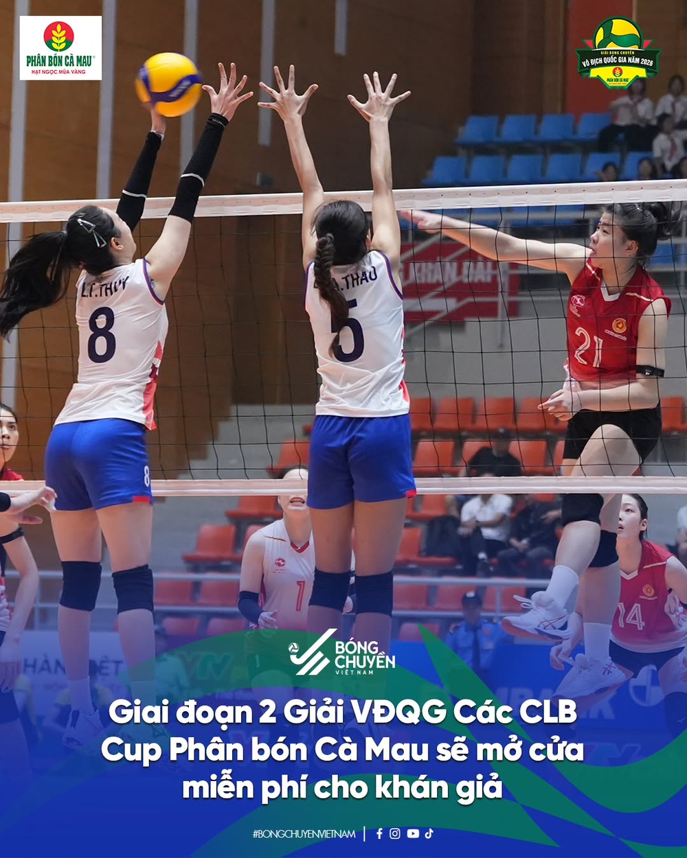 Giai đoạn 2 giải bóng chuyền VĐQG 2026 mở cửa miễn phí cho người hâm mộ - Ảnh 1. Giai đoạn 2 giải bóng chuyền VĐQG 2026 mở cửa miễn phí cho người hâm mộ - Ảnh 1.