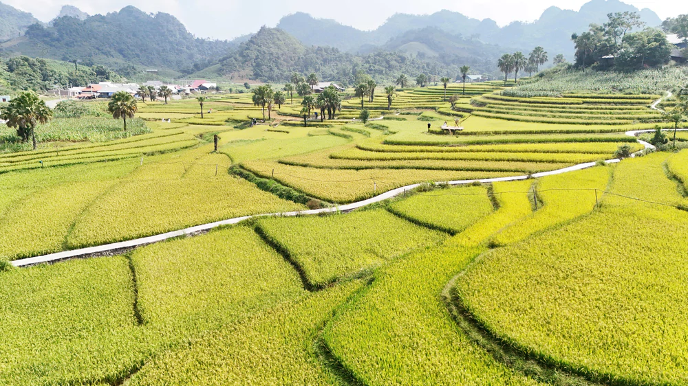 Thái Nguyên: Mùa vàng trên Bản Tèn - Ảnh 3.