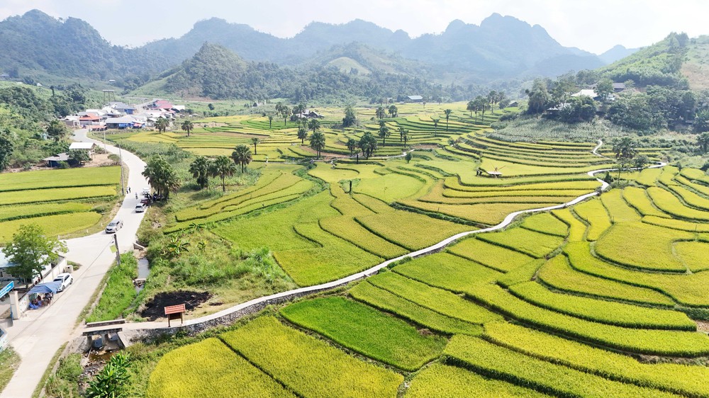 Thái Nguyên: Mùa vàng trên Bản Tèn - Ảnh 2.