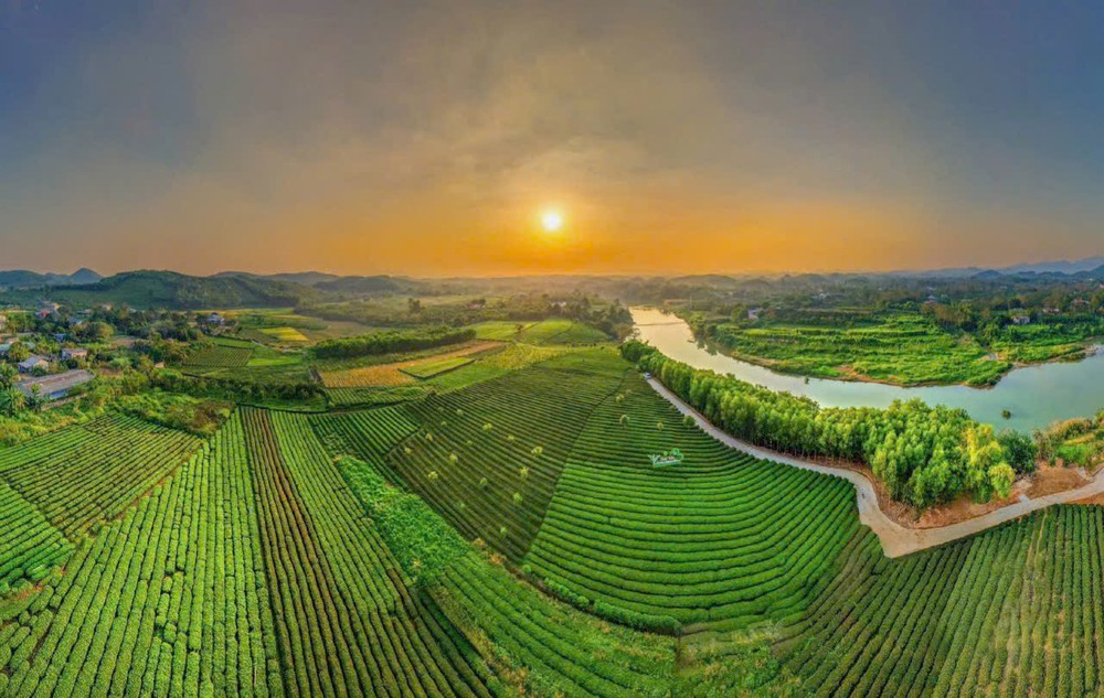 Thái Nguyên: Sẵn sàng đánh thức hương trà, kết nối di sản và du lịch - Ảnh 2.