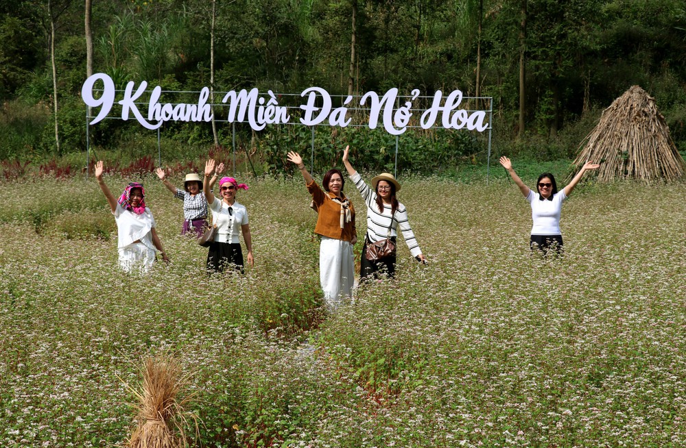 Sắc hoa tam giác mạch níu chân du khách trên Cao nguyên đá - Ảnh 4.