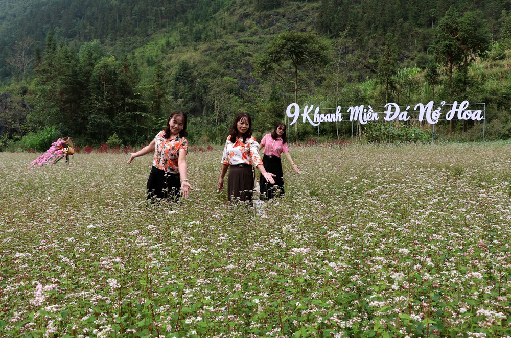 Sắc hoa tam giác mạch níu chân du khách trên Cao nguyên đá - Ảnh 3.