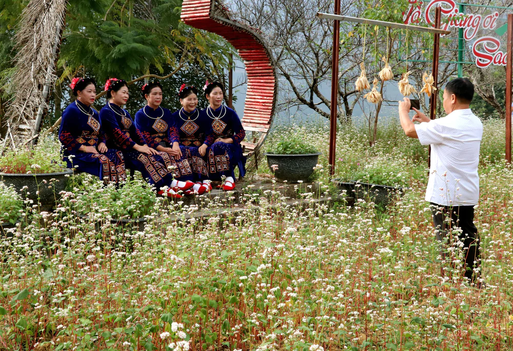 Sắc hoa tam giác mạch níu chân du khách trên Cao nguyên đá - Ảnh 5.
