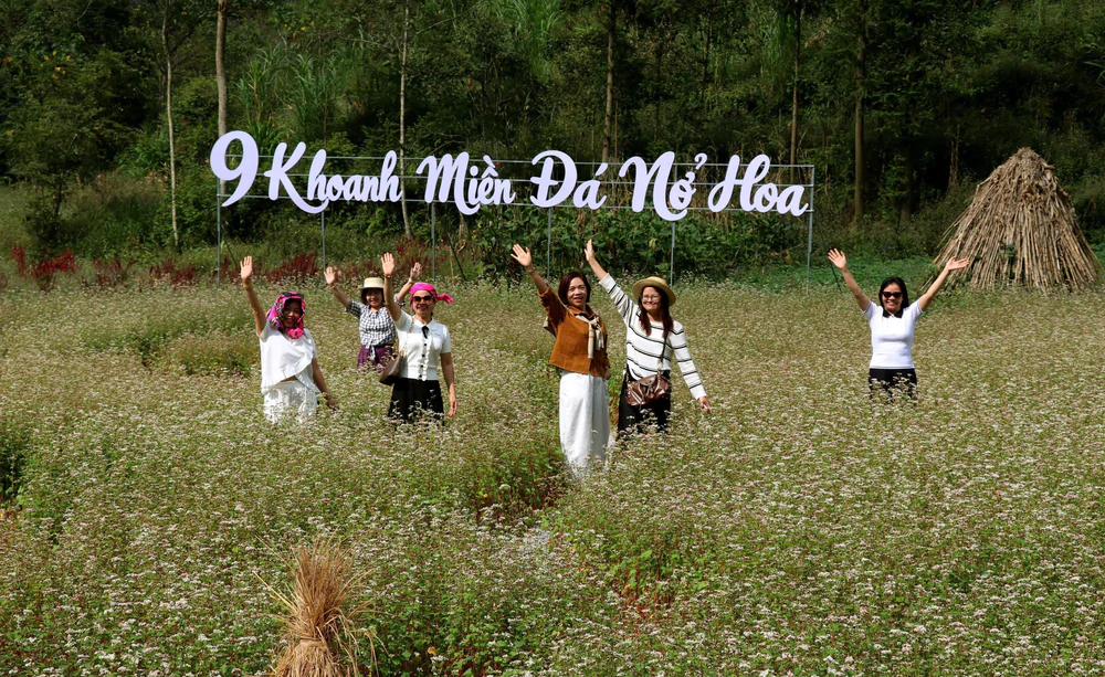 Giữ an toàn trên những cung đường mùa hoa tam giác mạch - Ảnh 4.