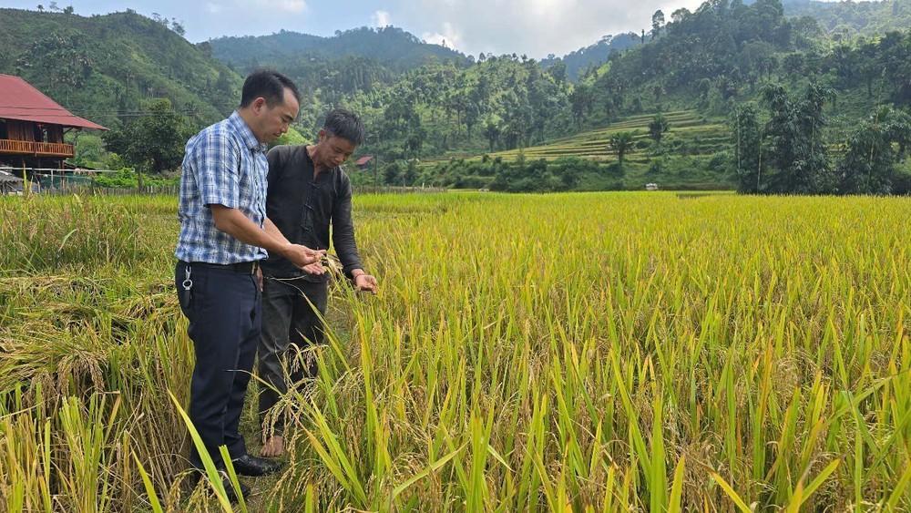 Vì một miền quê đáng sống: "Bản Liền xanh" gọi bước chân du khách - Ảnh 1.