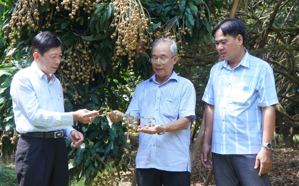 Nghị quyết 57-NQ/TW: Chuyển đổi xanh và số nâng tầm thương hiệu nhãn Châu Thành - Ảnh 2. Nghị quyết 57-NQ/TW: Chuyển đổi xanh và số nâng tầm thương hiệu nhãn Châu Thành - Ảnh 2.