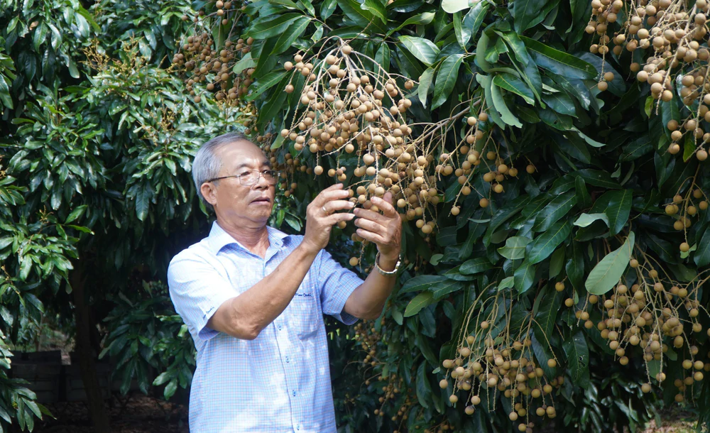 Nghị quyết 57-NQ/TW: Chuyển đổi xanh và số nâng tầm thương hiệu nhãn Châu Thành - Ảnh 5. Nghị quyết 57-NQ/TW: Chuyển đổi xanh và số nâng tầm thương hiệu nhãn Châu Thành - Ảnh 5.