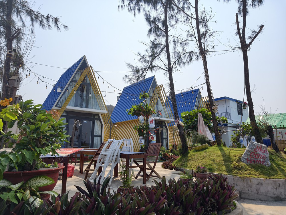 Vạn Tường - Du lịch giải bài toán giữ vững vùng xanh và di sản đại dương - Ảnh 7. Vạn Tường - Du lịch giải bài toán giữ vững vùng xanh và di sản đại dương - Ảnh 7.