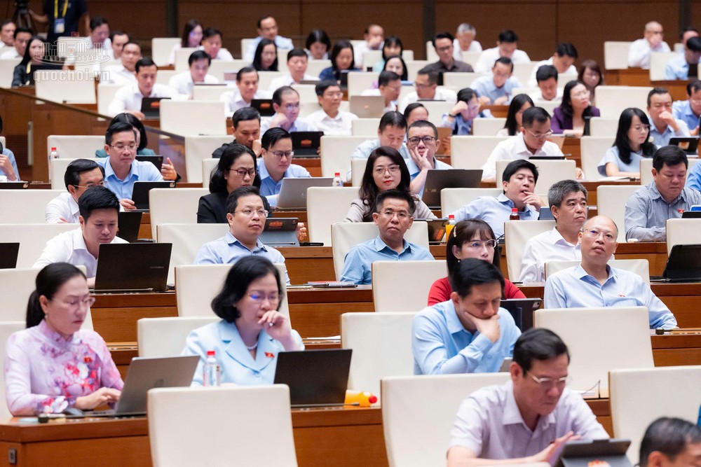 Đại biểu Quốc hội đề xuất lập Quỹ bảo tồn di sản có nguy cơ mai một - Ảnh 2. Đại biểu Quốc hội đề xuất lập Quỹ bảo tồn di sản có nguy cơ mai một - Ảnh 2.