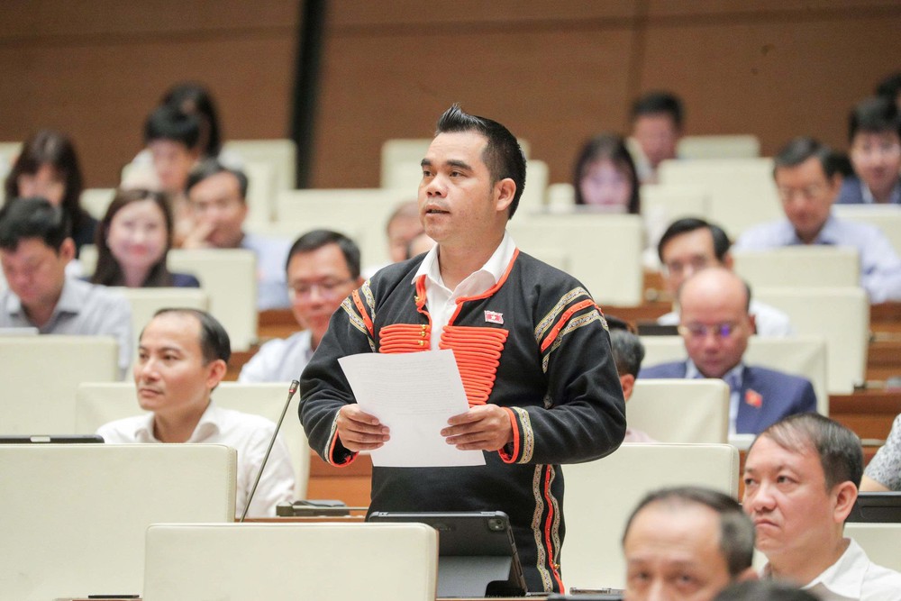 Đại biểu Quốc hội đề xuất lập Quỹ bảo tồn di sản có nguy cơ mai một - Ảnh 1. Đại biểu Quốc hội đề xuất lập Quỹ bảo tồn di sản có nguy cơ mai một - Ảnh 1.