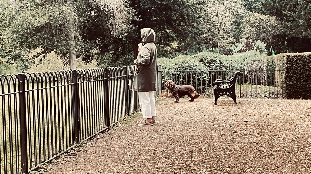 Ba thế kỷ lắng đọng trong vườn cổ Chiswick House ở London - Ảnh 7.