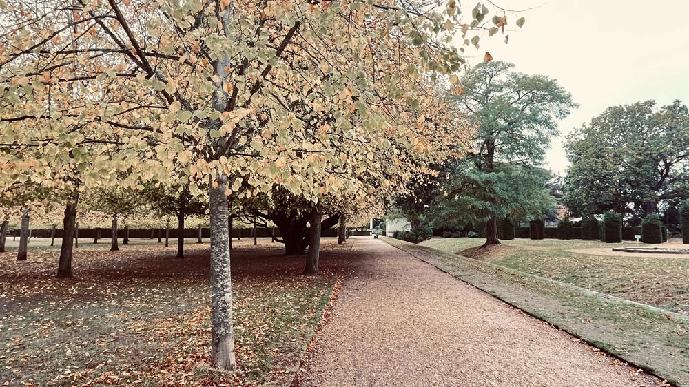 Ba thế kỷ lắng đọng trong vườn cổ Chiswick House ở London - Ảnh 3.