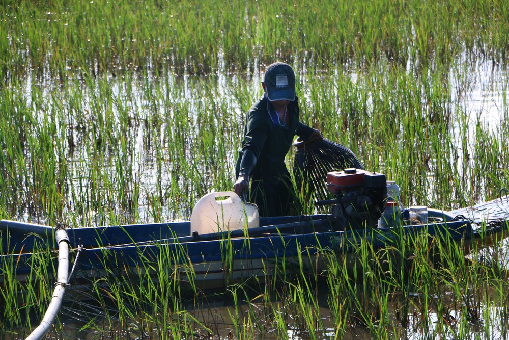 Mùa nước nổi và những giá trị phát triển cho Cần Thơ - Ảnh 7.