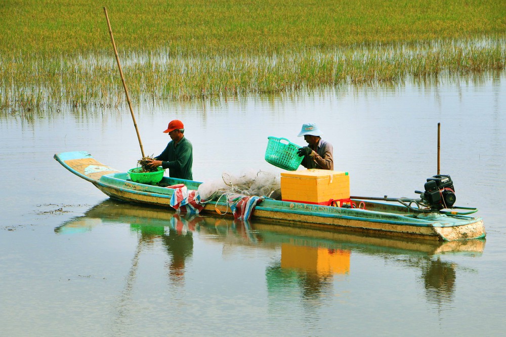Mùa nước nổi và những giá trị phát triển cho Cần Thơ - Ảnh 5.