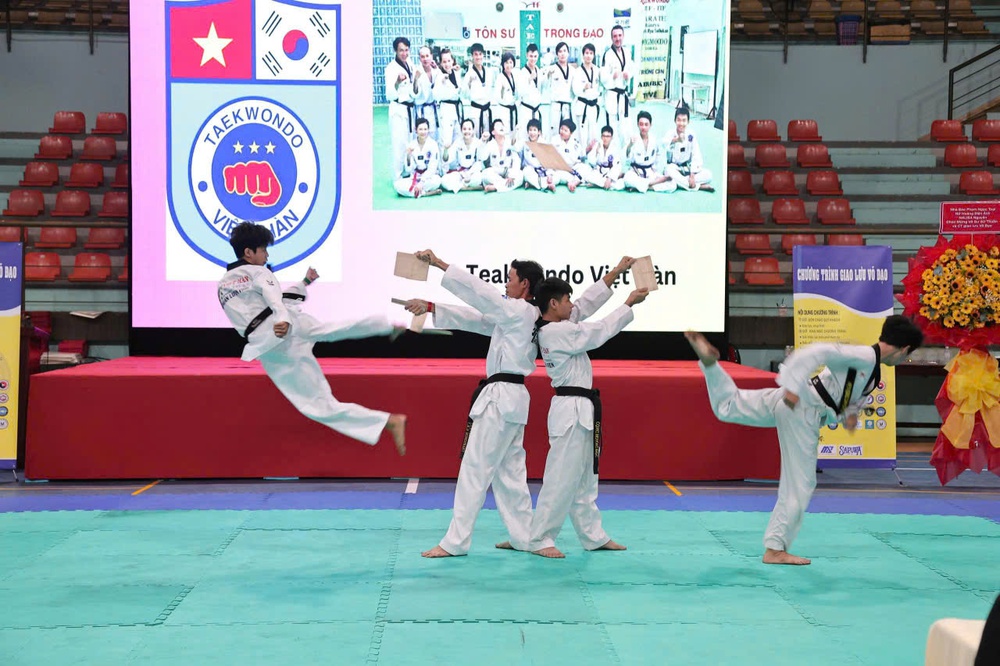 Lan tỏa tinh thần võ thuật Việt Nam - Ảnh 3.