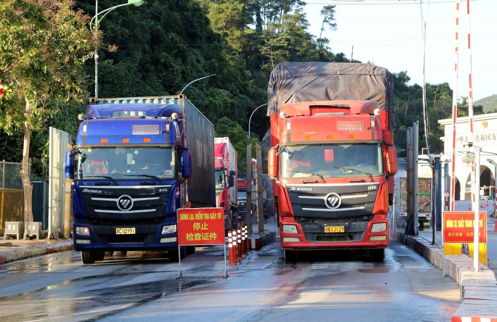 Thủ tướng đôn đốc thực hiện nhiệm vụ phục vụ nhân dân đón Tết Nguyên đán Bính Ngọ 2026 - Ảnh 3. Thủ tướng đôn đốc thực hiện nhiệm vụ phục vụ nhân dân đón Tết Nguyên đán Bính Ngọ 2026 - Ảnh 3.