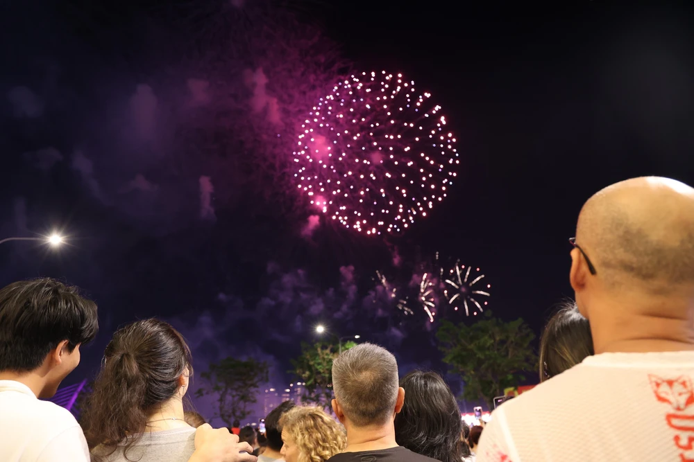 Rực sáng pháo hoa, gửi gắm ước vọng "mã đáo thành công" Xuân Bính Ngọ - Ảnh 3.