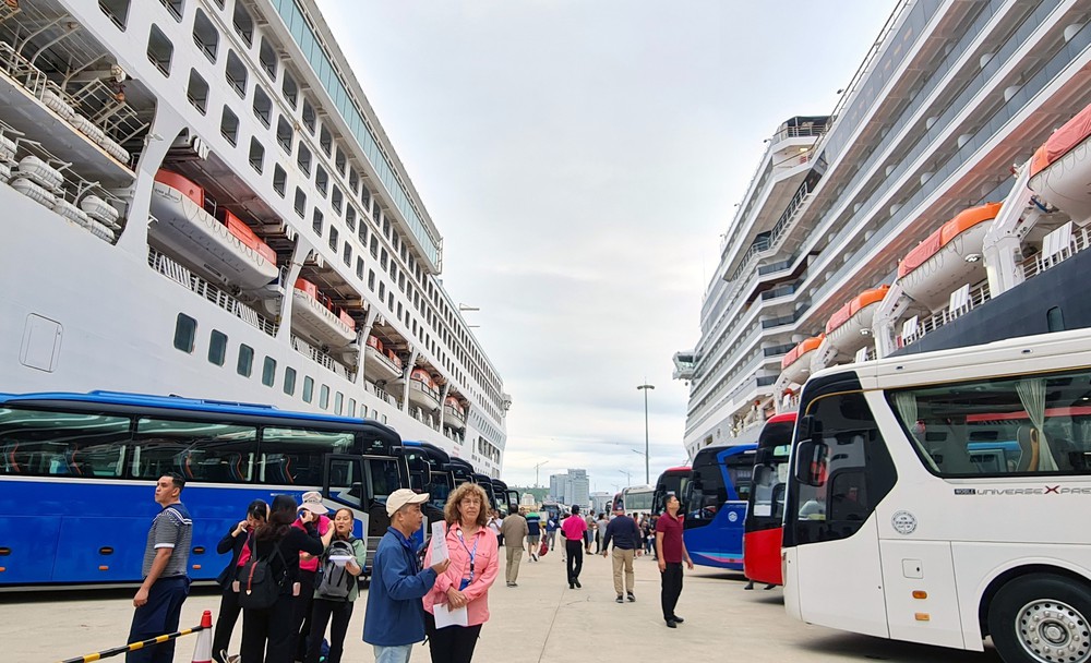 Quảng Ninh sẽ đón hàng ngàn khách du lịch tàu biển quốc tế dịp Tết Bính Ngọ - Ảnh 1.