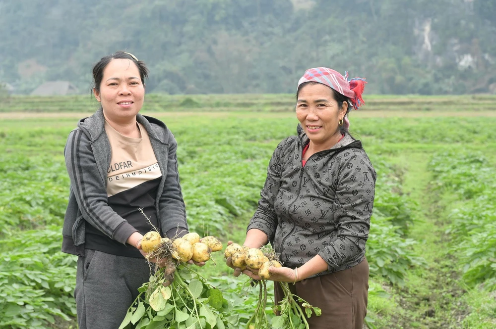  Vùng lũ Làng Chút thay áo mới, đón Xuân sang - Ảnh 7.