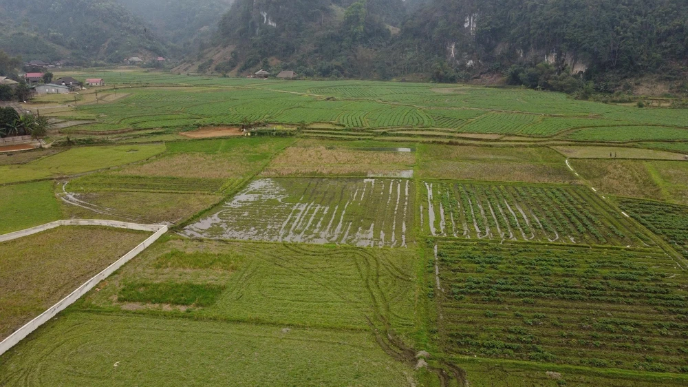  Vùng lũ Làng Chút thay áo mới, đón Xuân sang - Ảnh 5.