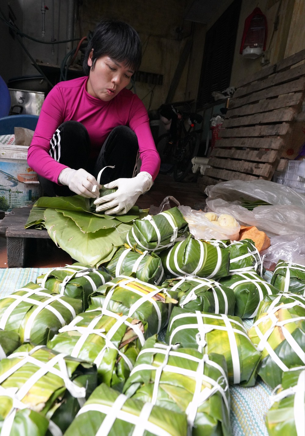Làng bánh chưng Tranh Khúc vào vụ Tết Bính Ngọ - Ảnh 5.
