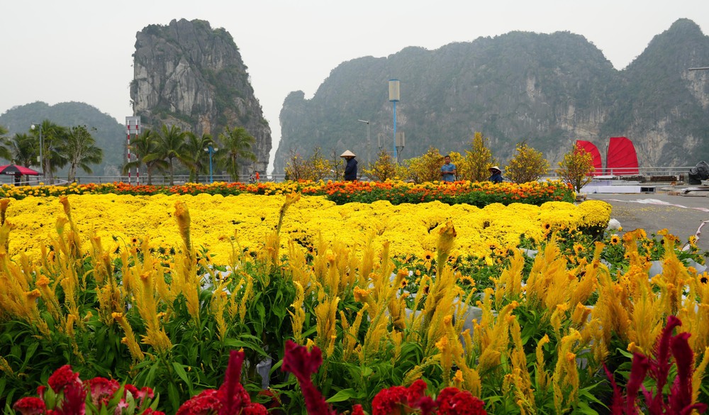 Quảng Ninh lần đầu tổ chức Đại lộ hoa và công nghệ ánh sáng bên vịnh kỳ quan Hạ Long - Ảnh 7.