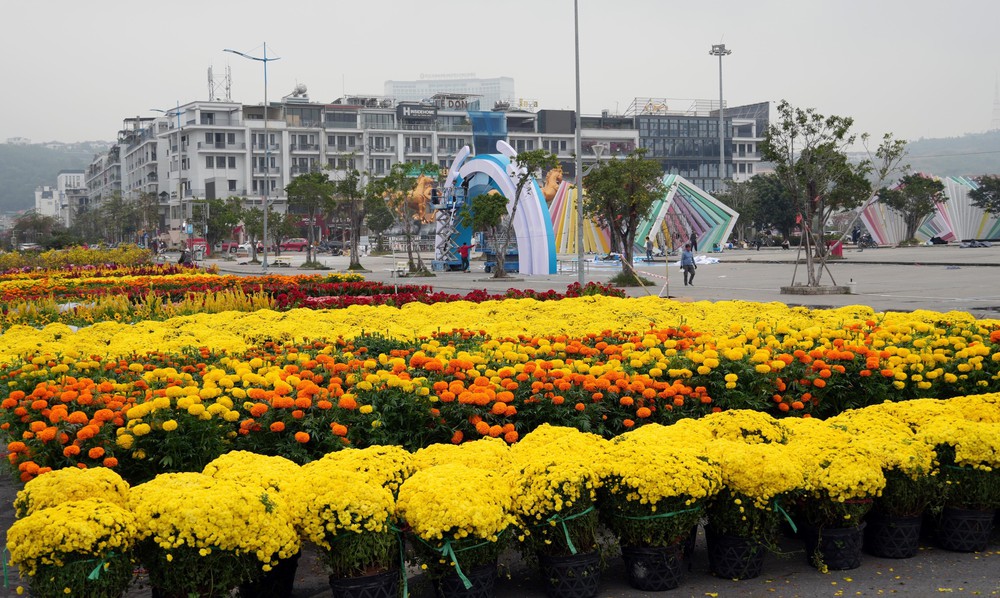 Quảng Ninh lần đầu tổ chức Đại lộ hoa và công nghệ ánh sáng bên vịnh kỳ quan Hạ Long - Ảnh 9.