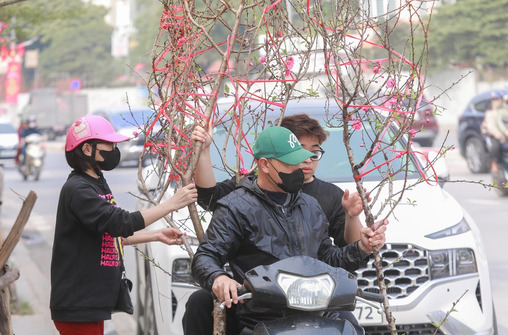 Tiểu thương thấp thỏm vì sức mua đào, quất giảm - Ảnh 7.